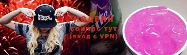 гашик Няндома