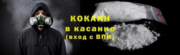 гашик Няндома
