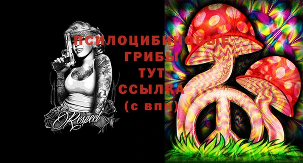 гашик Нязепетровск
