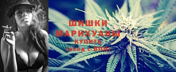 гашик Няндома