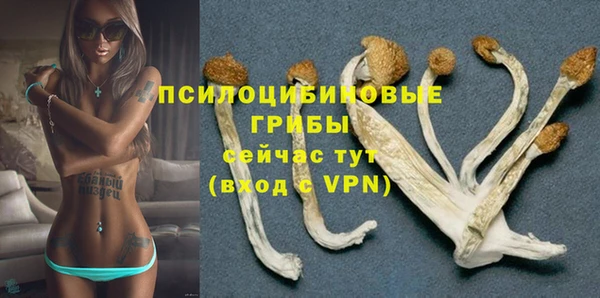 марки nbome Новозыбков