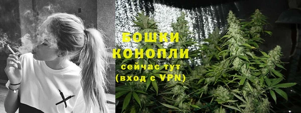 гашик Няндома