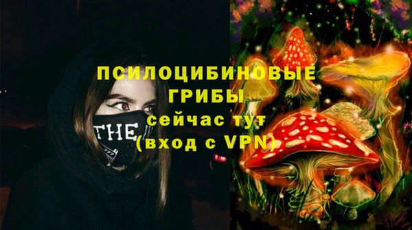 стафф Новокубанск
