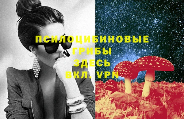 каннабис Новодвинск