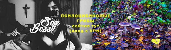 гашик Няндома