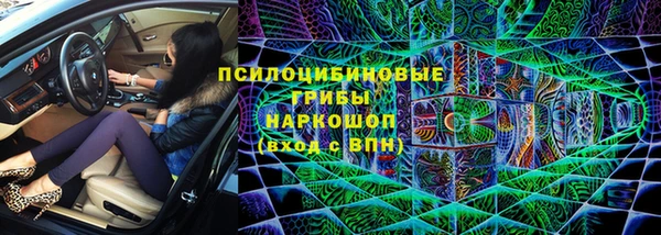 гашик Нязепетровск