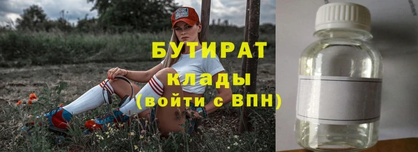гашик Няндома
