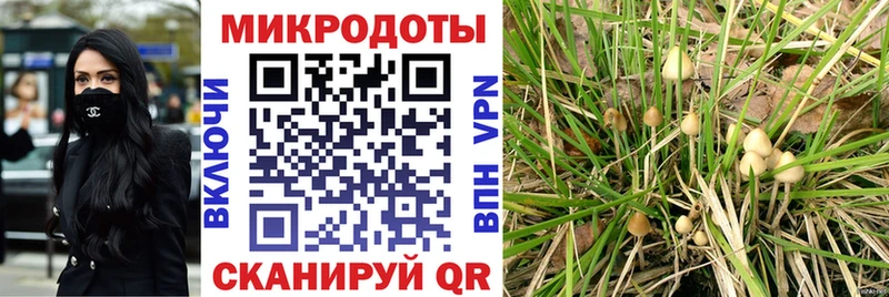 продажа наркотиков  Михайловск  Псилоцибиновые грибы ЛСД 